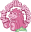 Pink Gorilla (Capitol Hill Store)